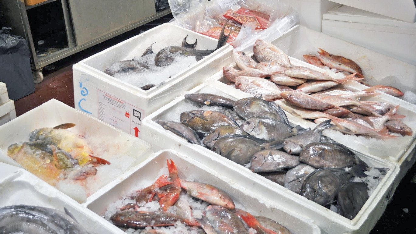 Shipping Fresh Seafood, Go Away Safe The Right Way