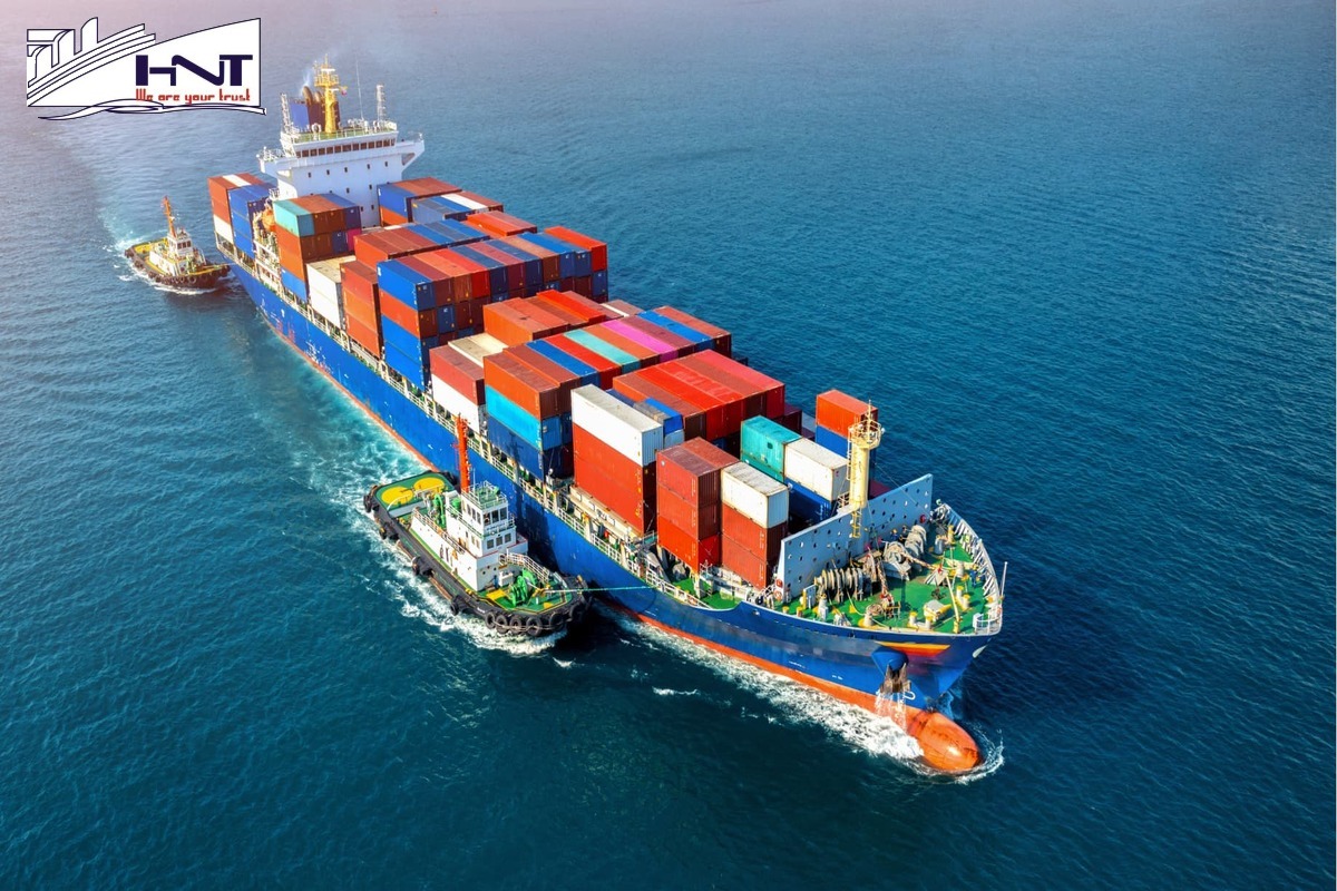 Choose a domestic container shipping company with many years of experience in the field.
