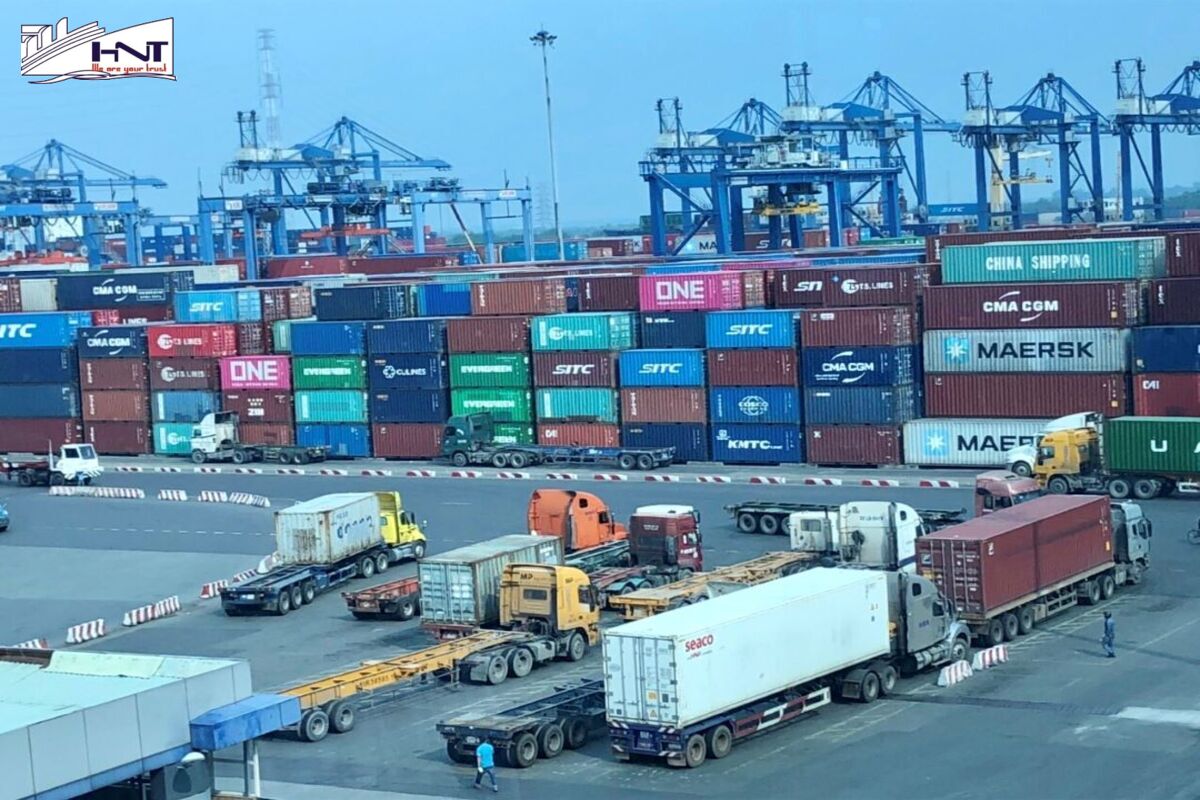 Chức năng của kinh tế vận tải biển và logistics giúp thúc đẩy kinh tế phát triển