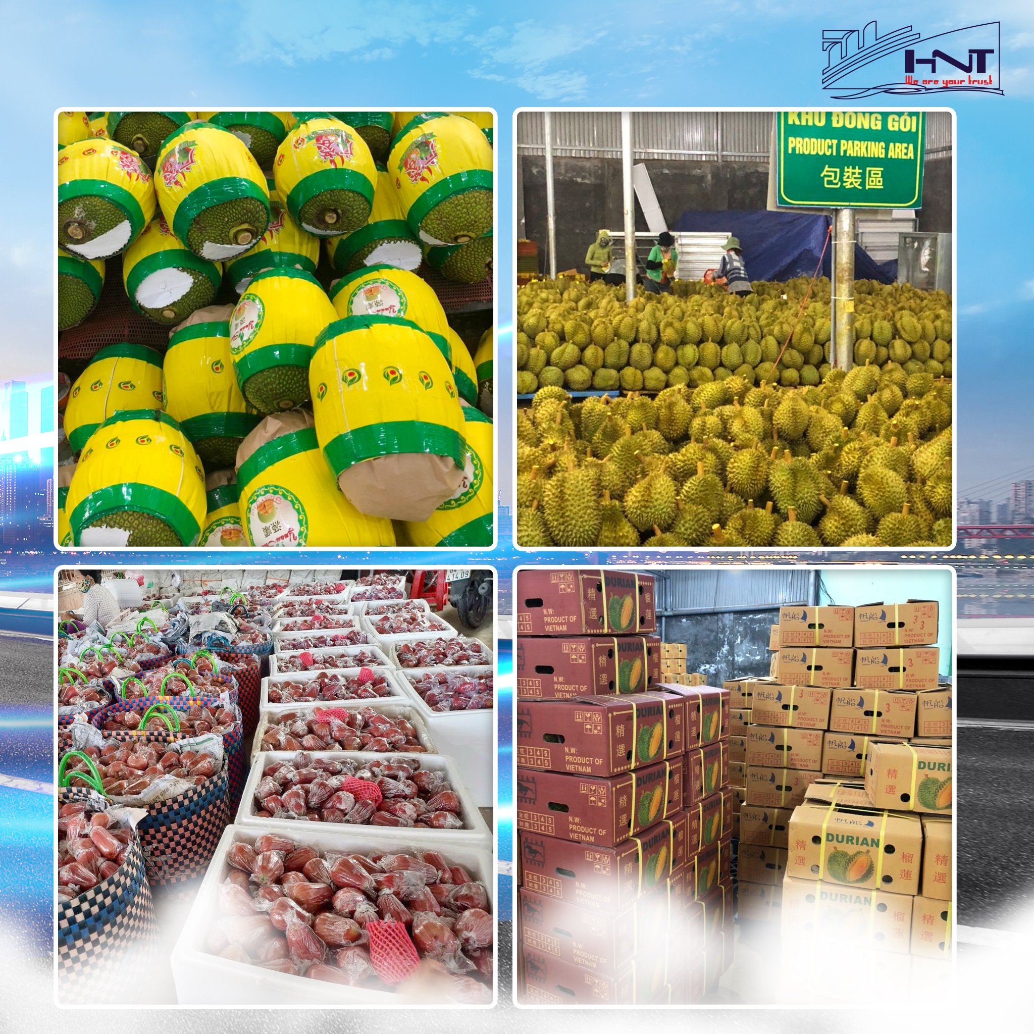 Definition of Viet Nam of agricultural products is what