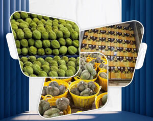 Shipping Durian By Plane: The Important Note Needs To Know