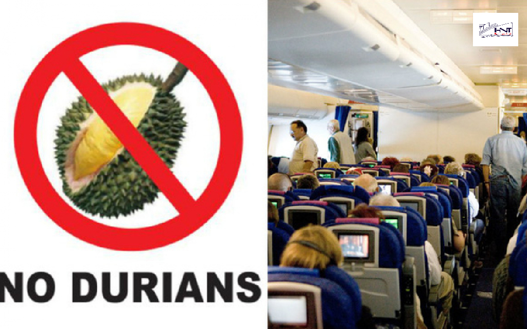 Một số hãng bay sẽ cấm tuyệt mang sầu riêng lên các loại máy bay nhất định nên bạn nên tìm hiểu trước nhé