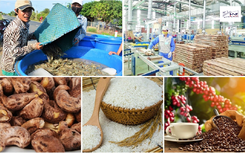 农产品在越南，包括渔业、盐业生产