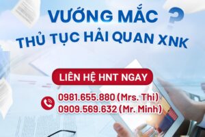 Professional Import-Export Services in Ho Chi Minh City, Competitive Prices