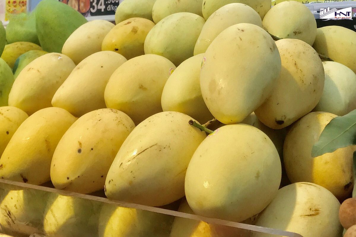 Mangoes are highly favored with various varieties like Hoa Loc sand mango, Keo mango, and Tuong mango.