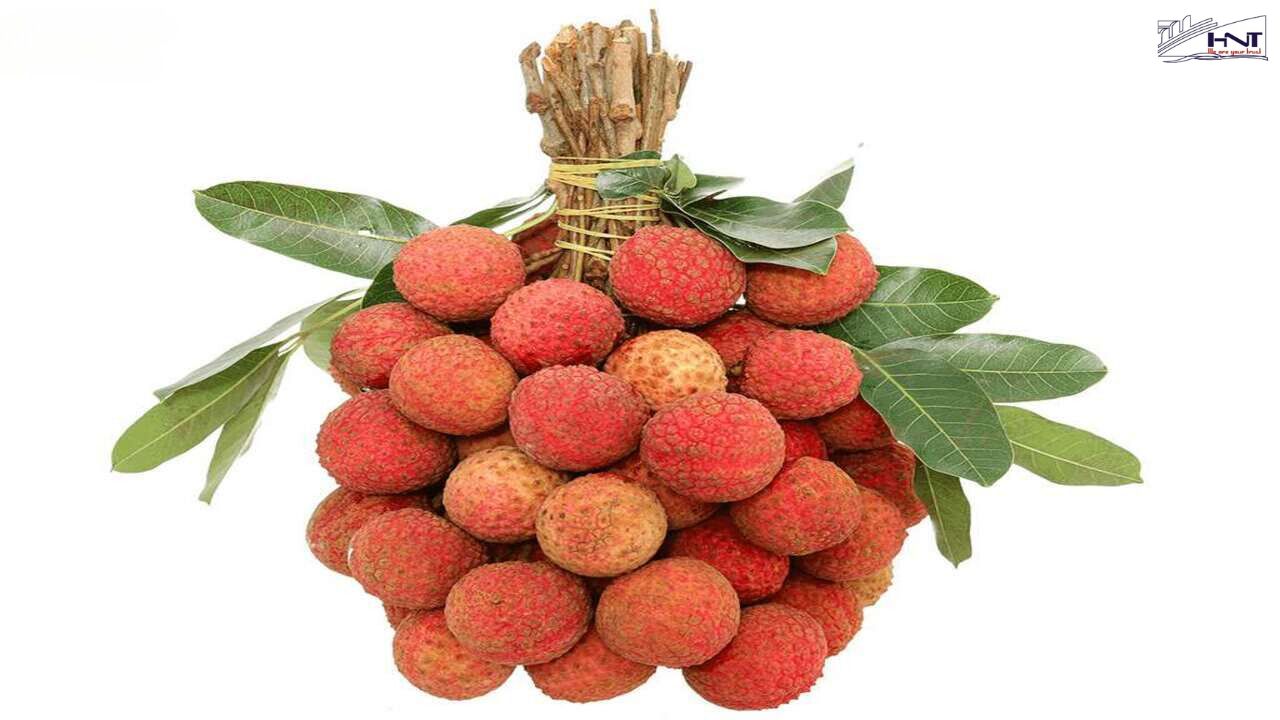 Lychee is a favorite fruit.