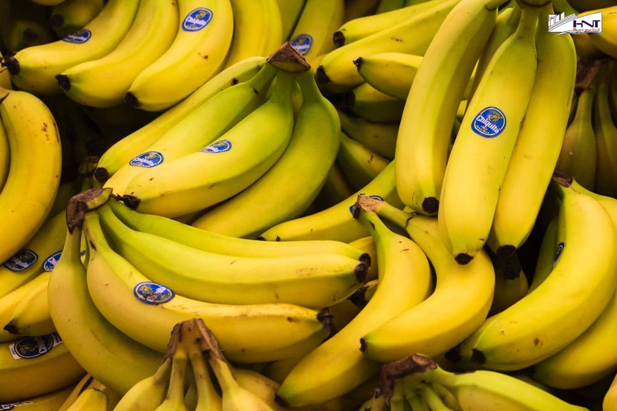 Banana is one of the common fruits are exported to south Korea