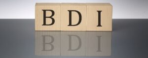 Essential Knowledge About the BDI Index